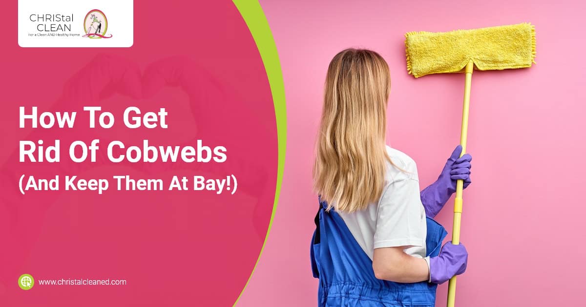 christal-clean-how-to-get-rid-of-cobwebs-and-keep-them-at-bay