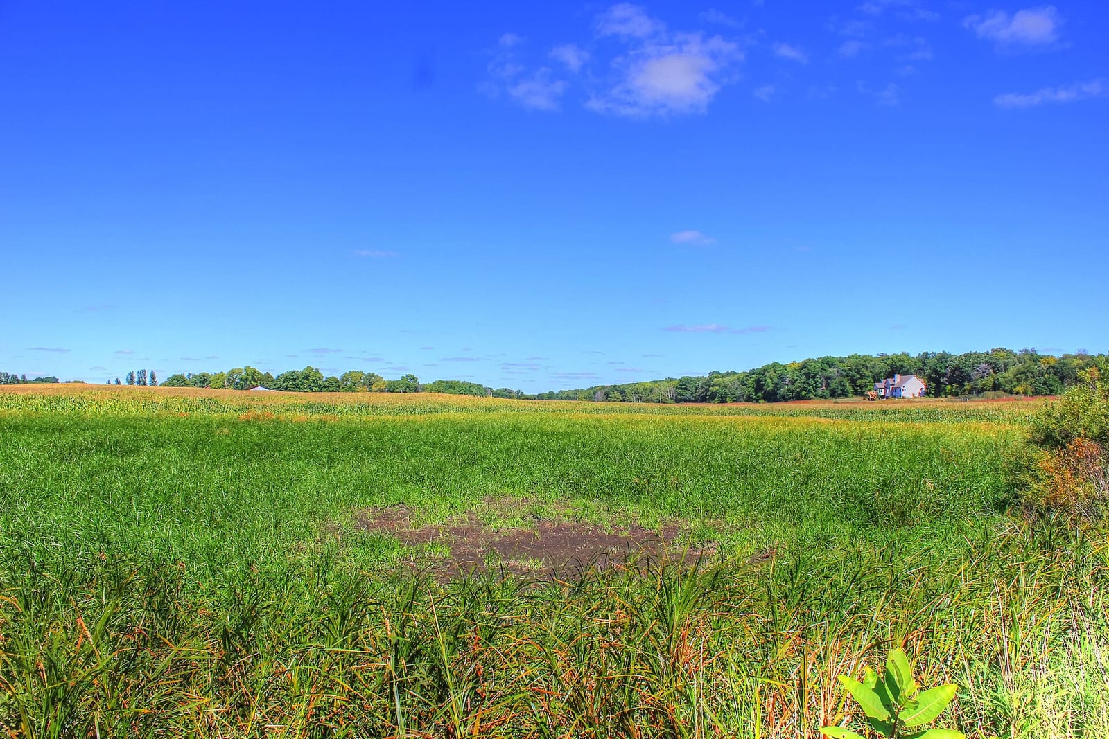 Farmland along the Glacial Drumlin State Trail